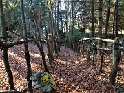 Monte Zucco (1232 m) ad anello in solitaria sui sentieri di casa (Zogno-300 m) 18nov闂????20 - FOTOGALLERY